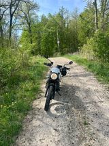 Triumph Street Scrambler 900 - Angebote entsprechen deinen Suchkriterien
