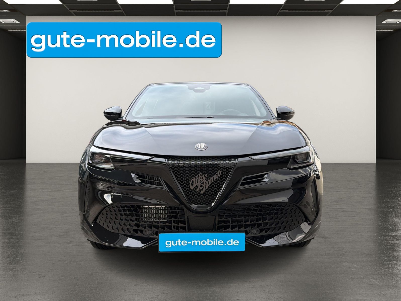 Alfa Romeo Junior - Bild 20