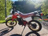 Yamaha XT 600 - Yamaha Motorräder in Kassel