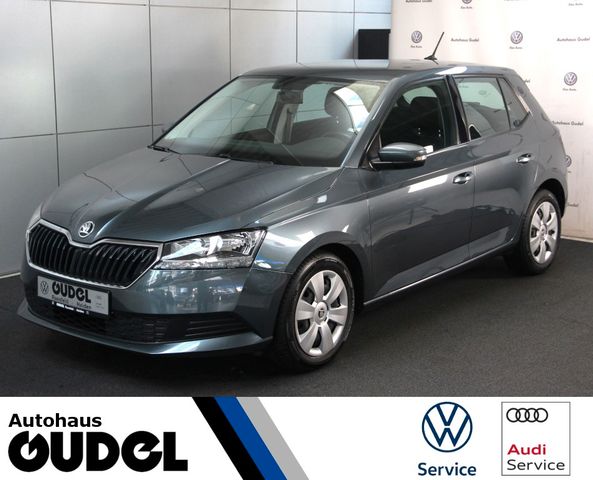 Skoda Fabia Cool Plus 1.0 MPI Sitzheizung Bluetooth