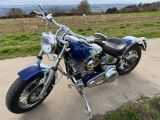 Harley-Davidson Harley Davidson FXST Softail - Angebote entsprechen deinen Suchkriterien