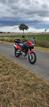 Suzuki XF 650 Freewind - SUZUKI FREEWIND