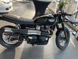 Triumph Street Scrambler 
