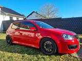 Volkswagen Golf 5 Tracktool Ringtool Käfig, große Bre... - Volkswagen Golf: Gross