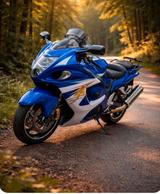 Suzuki Hayabusa GSX1300R - SUZUKI GSX1300R HAYABUSA