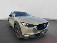 Mazda CX-30 - Vorschau Bild 6