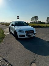 Audi SQ5 Competition - Audi SQ5 in Köln