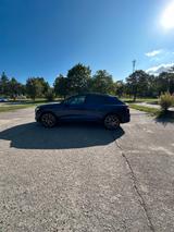 Audi SQ8 TFSI quattro tiptronic - - Audi SQ8 von privat