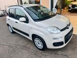 Fiat Panda 1.2 EasyPower Lounge - Fiat Panda mit LPG-Antrieb