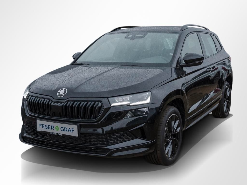 Skoda Karoq - Bild 14