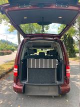 Volkswagen Caddy 1,6TDI 75kW DSG BMT Roncalli Edition 5... - Volkswagen Caddy: Roncalli