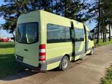 Mercedes-Benz 313 CDI Euro 6 Maxi lang -Hoch 9 - Sitze/Bank - Mercedes-Benz Sprinter: 313 Cdi Maxi