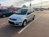 Fiat Panda - Fiat Panda Gebrauchtwagen in Bremen