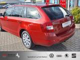 Skoda Octavia 1.0 TSI Green tec Joy AHK BOLERO-Sound - Skoda Octavia mit Benzin-Antrieb: Joy
