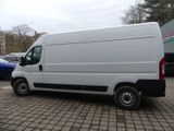 Fiat Ducato Maxi Kasten 35 L4H2 CSA/KÜHLFAHRZEUG/PHAR - : Kühlfahrzeug