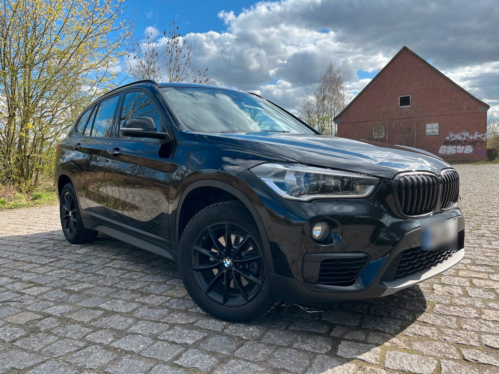 BMW BMW X1 F48 2,0l sDrive