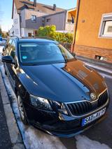 Skoda Octavia 1.4 TSI  Combi Drive  - Skoda Octavia: Combi Drive