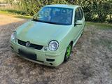 Volkswagen VW Lupo 1,0 Oxford - Volkswagen Lupo in Bremen