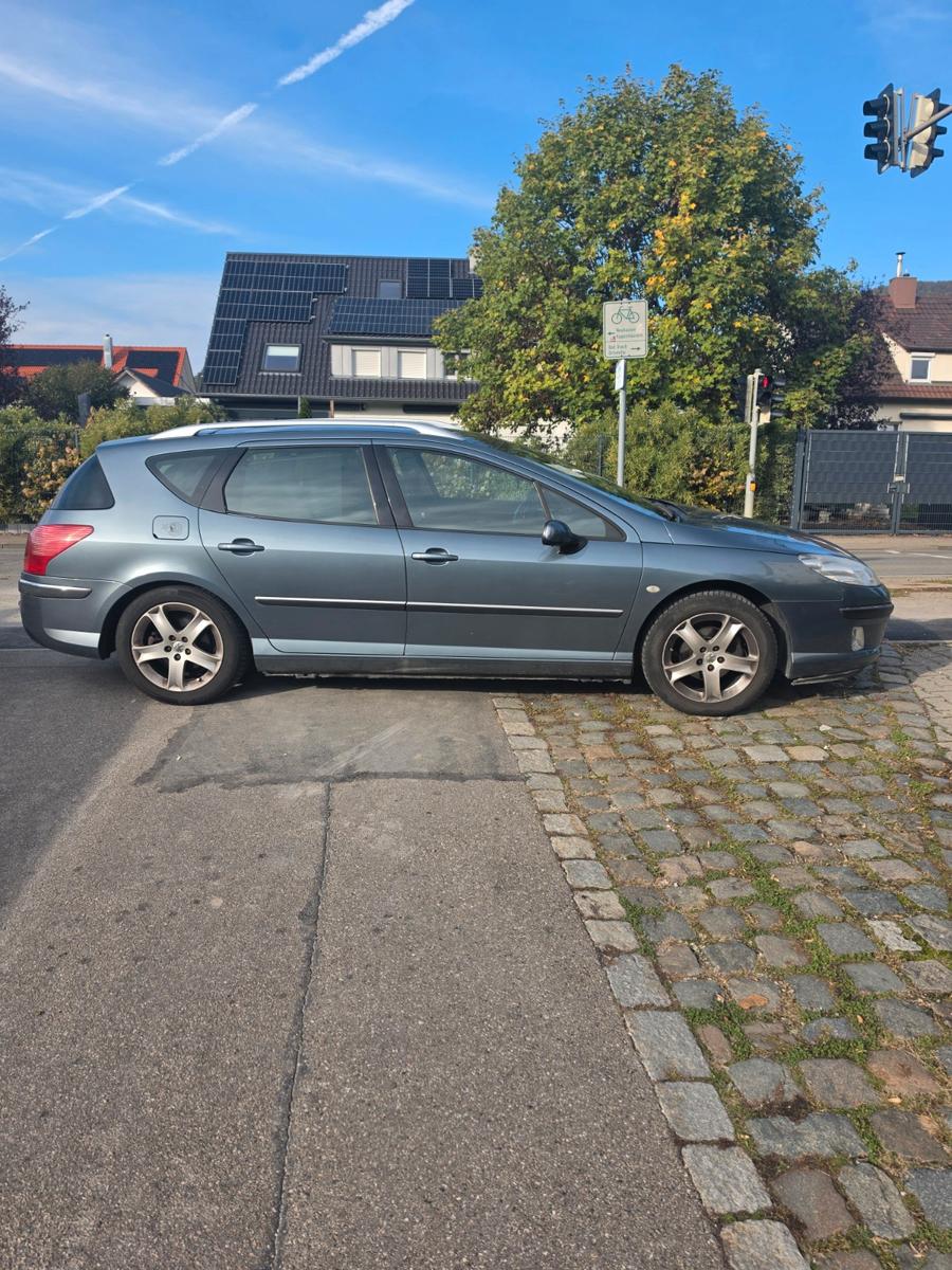 Peugeot 407 2005 — rear view