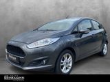 Ford Fiesta 1.0 Celebration SHZ/Zusatzhz./eFH./NSW - Ford Fiesta aus 2016 mit Benzin-Antrieb: Kleinwagen