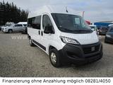 Fiat Ducato Luxusbus Panorama L2H2*9-Sitze*Kamera*DAB - Fiat Ducato mit Diesel-Antrieb: 9 Sitzer