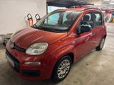 Fiat Panda 1.2 Klima - Fiat New Panda von privat