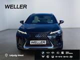 Lexus UX 250h Luxury Line *Matrix*360*HUD*Levinson*GSD - Lexus UX mit Schiebedach