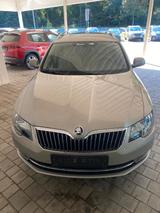 Skoda Superb Combi Elegance 4x4 Leder Sitzbelüftung - mit Diesel-Antrieb: Beige, Leichtmetallfelgen, Kombi