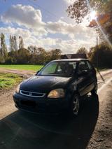 Honda Logo 1.3 Automatik TÜV bis 11/25 - Honda Logo Gebrauchtwagen