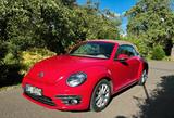 Volkswagen Beetle Cabrio 150 PS  TÜV neu 1.Hand - Volkswagen Beetle: Rot
