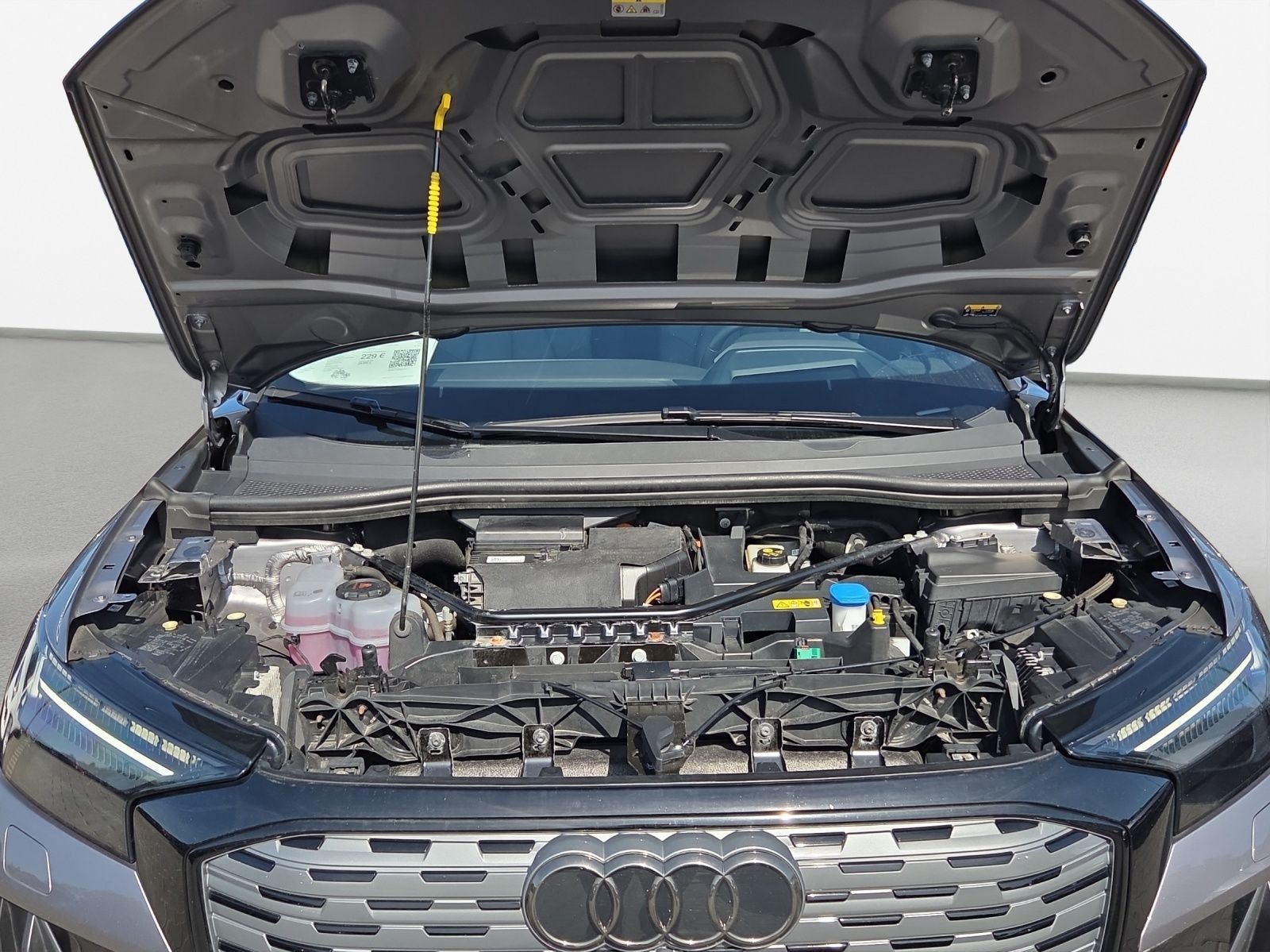 Audi Q4 e-tron - Bild 17