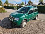 Fiat Panda 1.2 8V Climbing 4X4 - Fiat Panda: Allradantrieb, Climbing