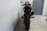 Triumph TIGER 800 *ZUBEHÖR*SCHECKHEFT*1.HAND - TRIUMPH MOTORRAD