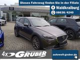 Mazda CX 3 Edition 100+Navi+Leder+Memory+Klima+LED - Mazda 3: Edition