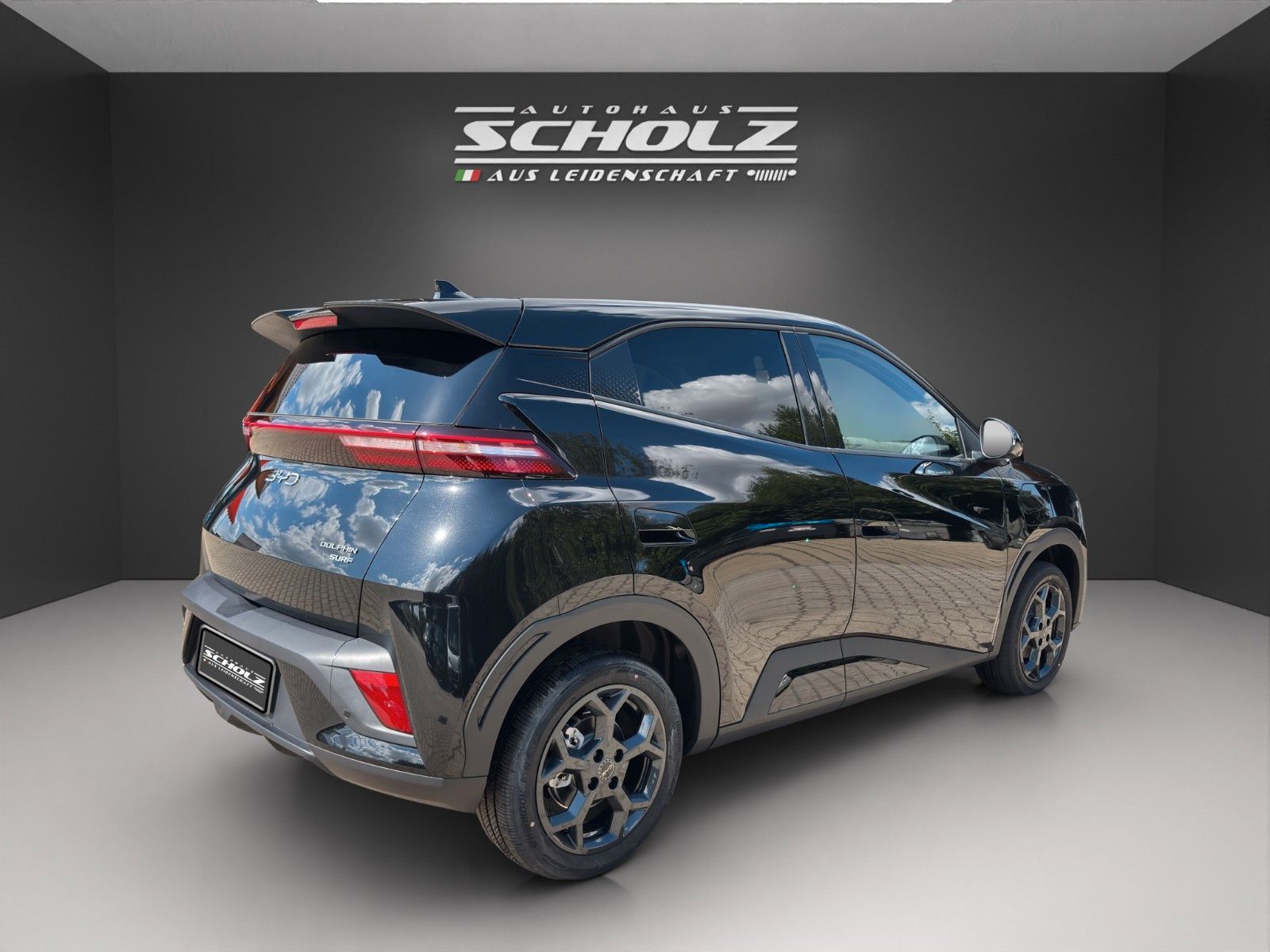 BYD DOLPHIN SURF