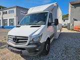 Mercedes-Benz Sprinter II Pritsche 310/311/313/314/316 CDI - Mercedes-Benz Sprinter: Van, 313 Cdi