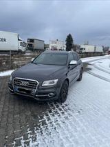 Audi SQ5 3.0 TDI competition tiptronic quattro  - graue Audi SQ5