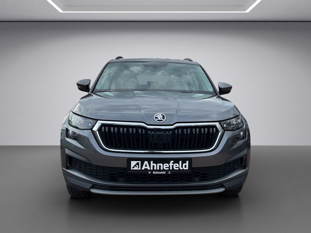 Kodiaq Ambition