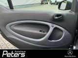 Smart EQ Design- und Ausstattungslinie Standard/Klima - Smart ForTwo: Ausstattung
