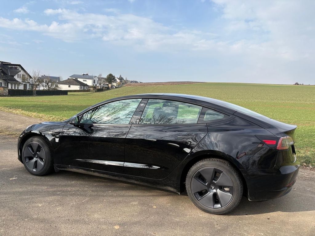 Image of Other Other