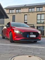 Mazda 3 2.0 Skyactiv-G 122PS | Leder | Bos... - Mazda 2 in Frankfurt (Main)