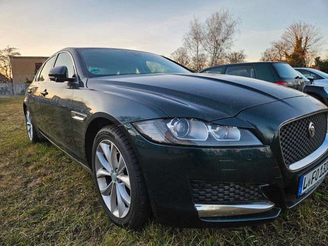 Jaguar XF Prestige Leder /Euro 6/ 132 KW /