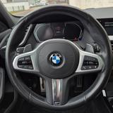 BMW 118d M Sport/AHK/Business Paket/Panorama Glasdac - BMW 118: M Paket
