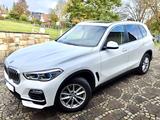BMW X5 xDrive25d - unfallfrei/AHK/HUD/Standhzg./Pano