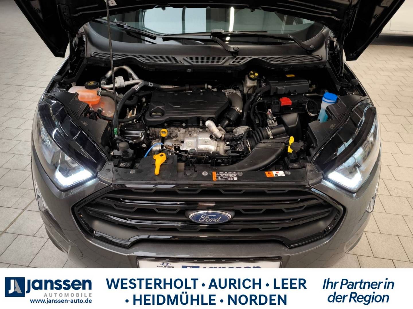 Fahrzeugabbildung Ford Ecosport 1.5 EcoBlue Allrad ST-Line