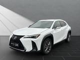Lexus UX 250h*F-SPORT-D.*1.HD*ALLW.REIF** 15J-GARANTIE - Lexus UX in Duisburg