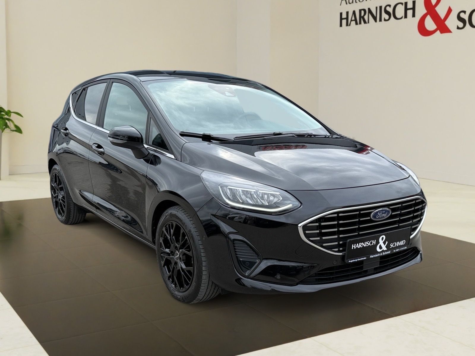 Fahrzeugabbildung Ford Fiesta Titanium X Navi
