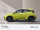 BYD DOLPHIN SURF Boost MJ 26 43 kWh Batt. - BYD Dolphin Surf Boost