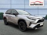 Toyota RAV4 Hybrid 4x2 Style Selection 360°,JBL,sofort - Toyota RAV 4 Tageszulassungen