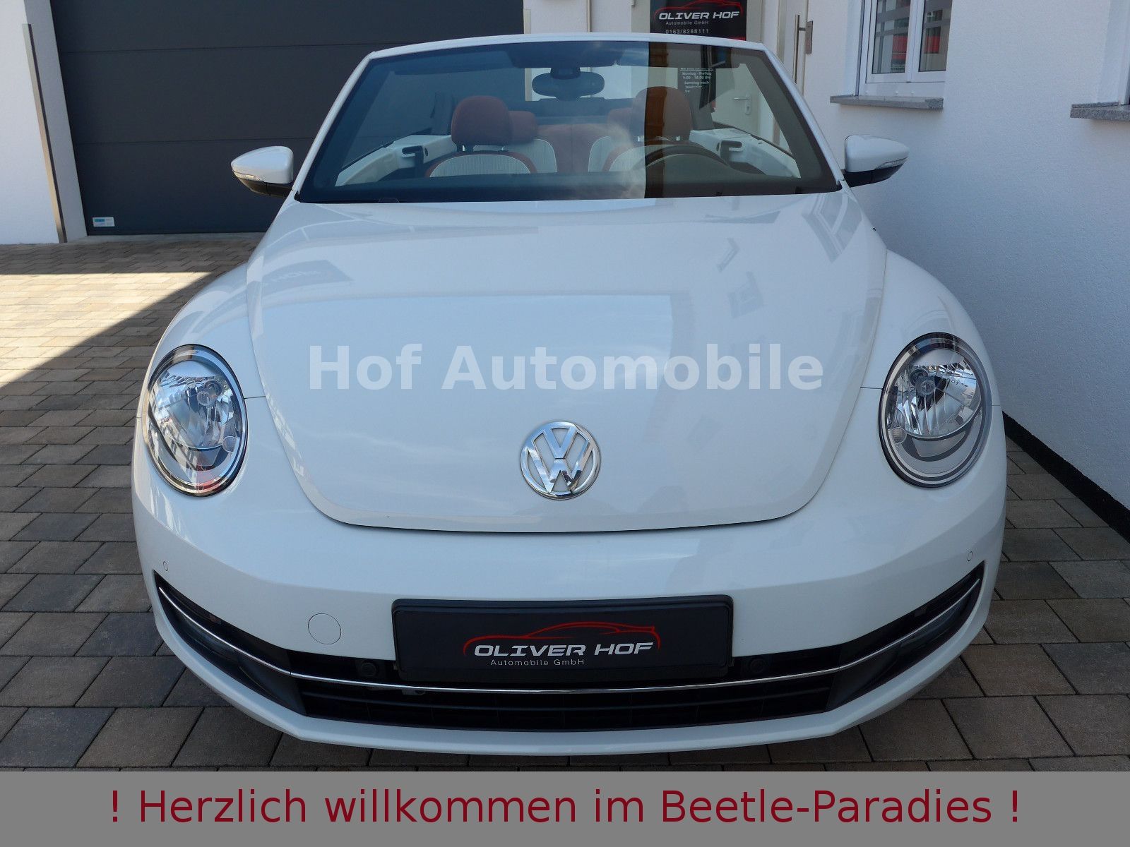 Volkswagen Beetle 1.2TSI DSG Cup SHZ Klimaaut. Allwetter foto 5